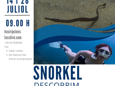 SNORKEL